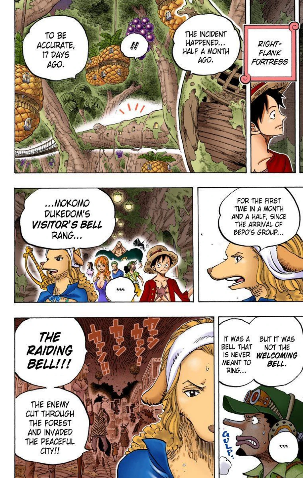 One Piece Volume 81 Page 17