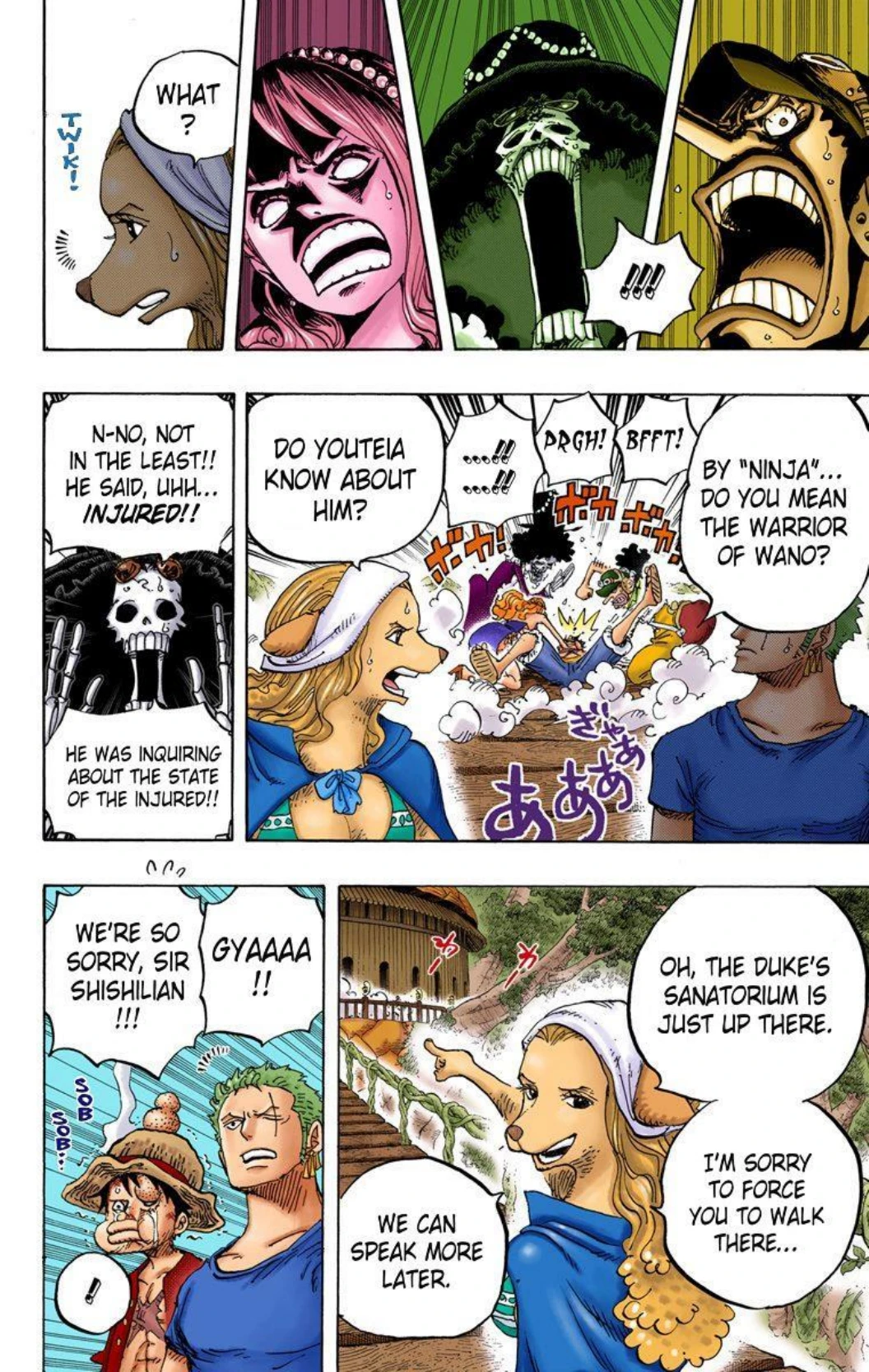 One Piece Volume 81 Page 29