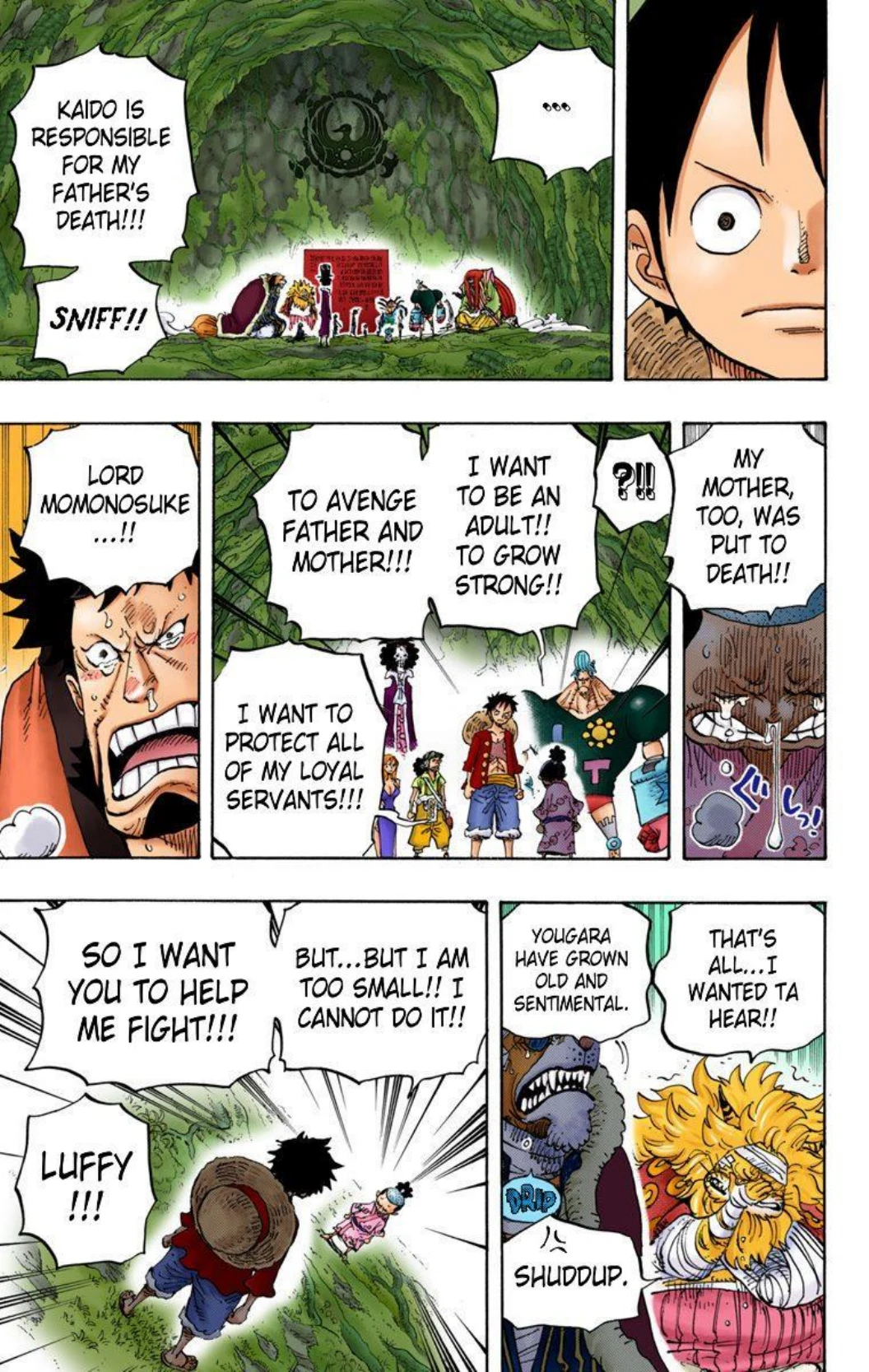 One Piece Volume 82 Page 46