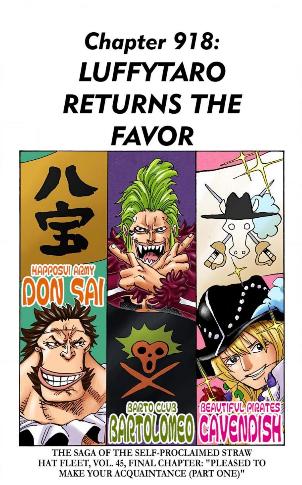 One Piece Volume 91 Page 119