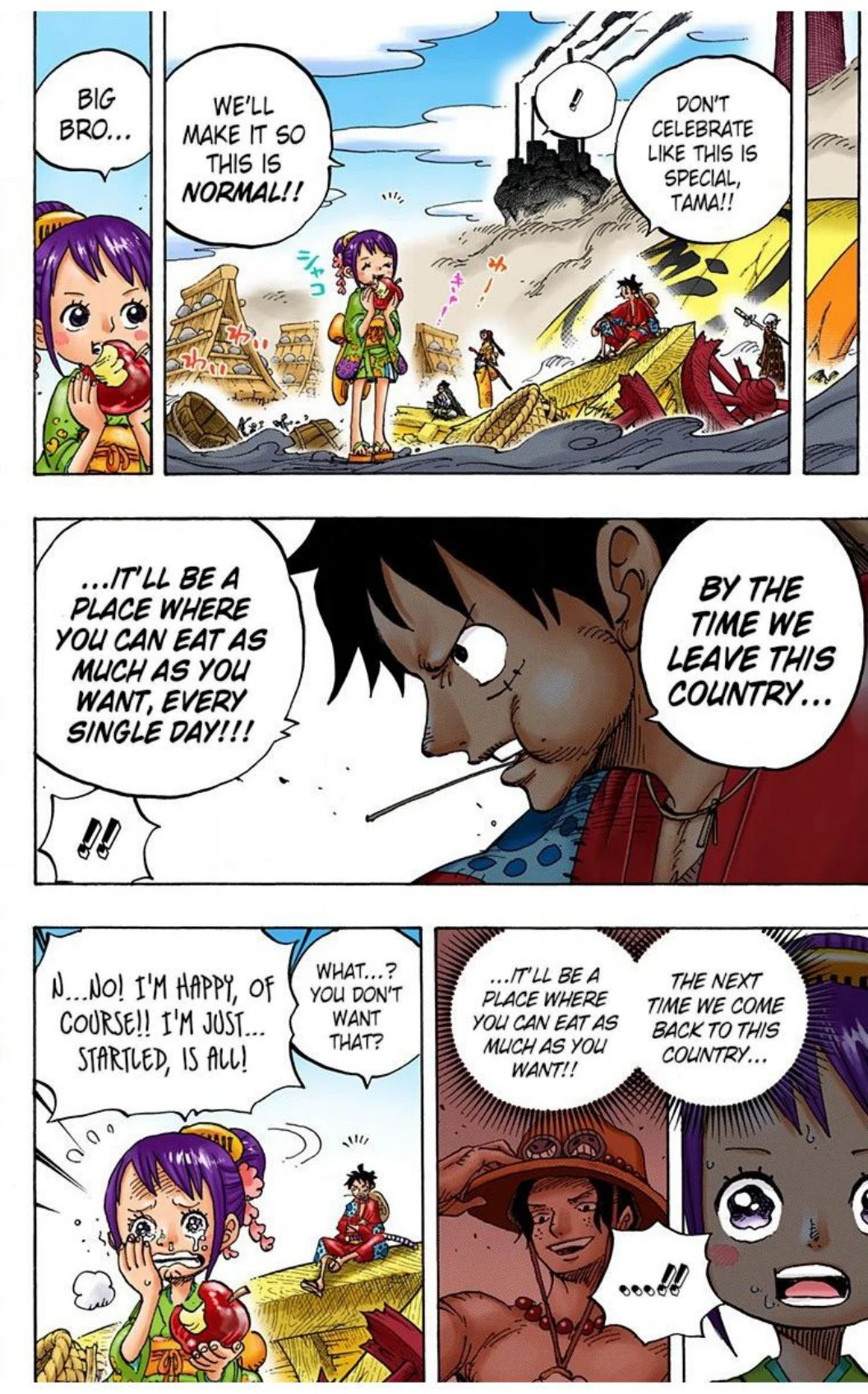 One Piece Volume 91 Page 133