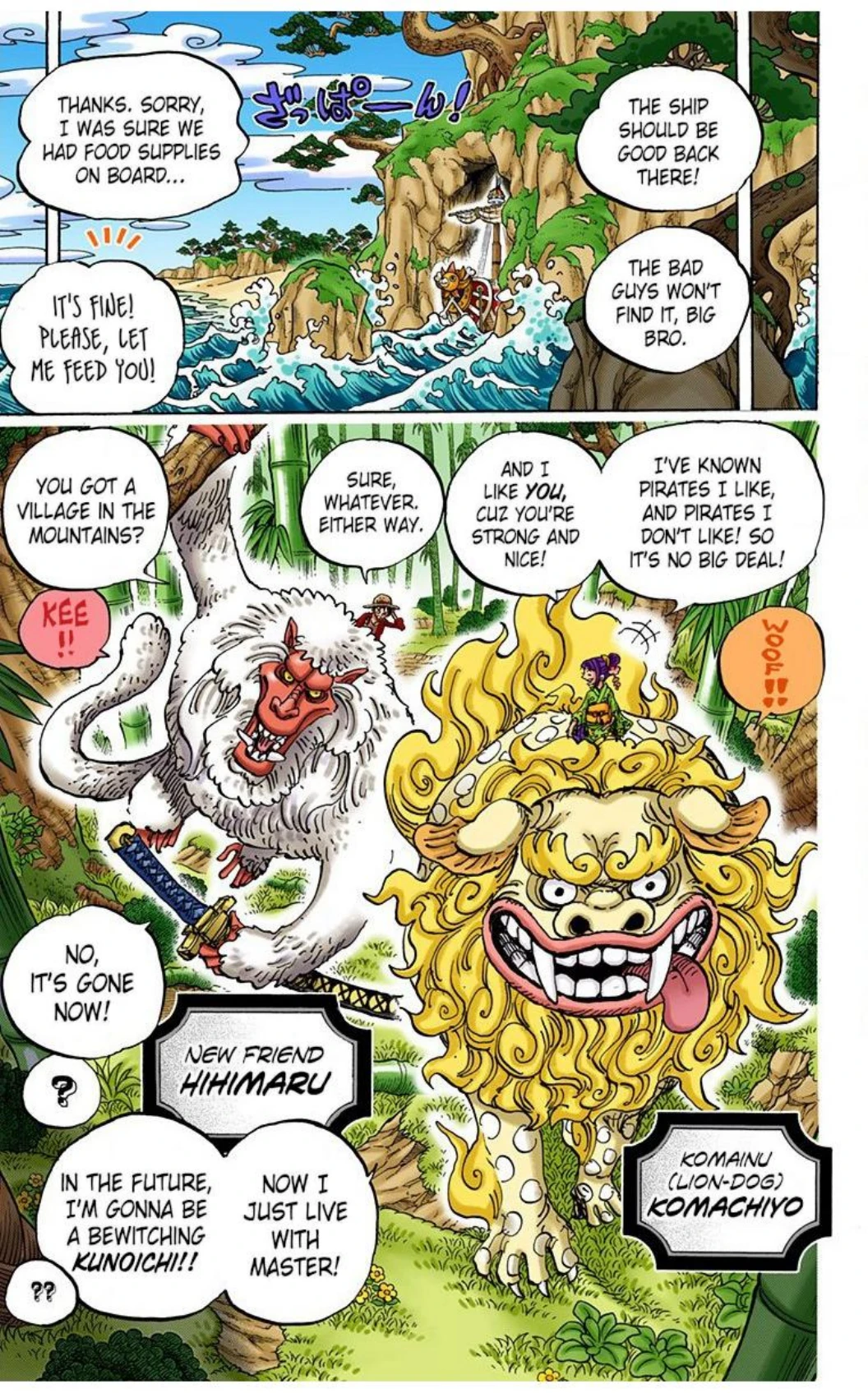 One Piece Volume 91 Page 15