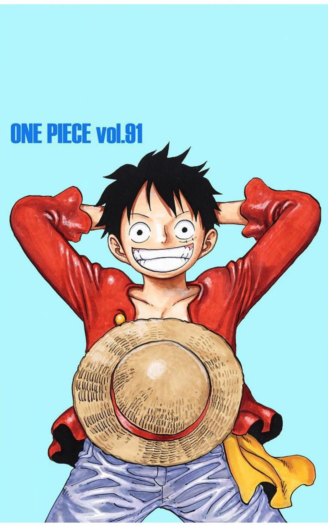 One Piece Volume 91 Page 3