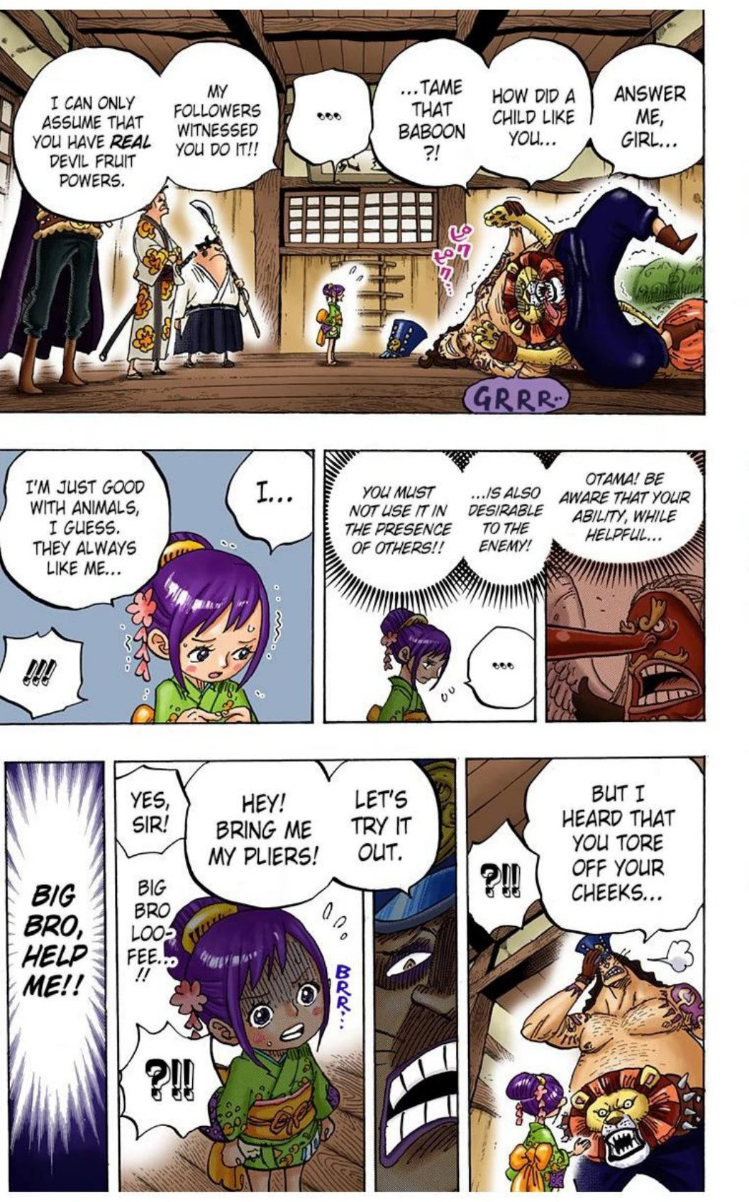 One Piece Volume 91 Page 77