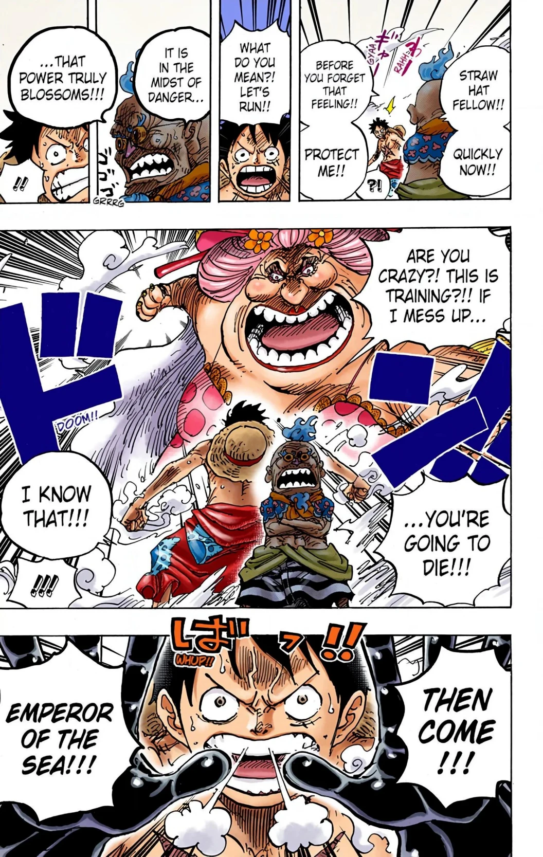 One Piece Volume 94 Page 67