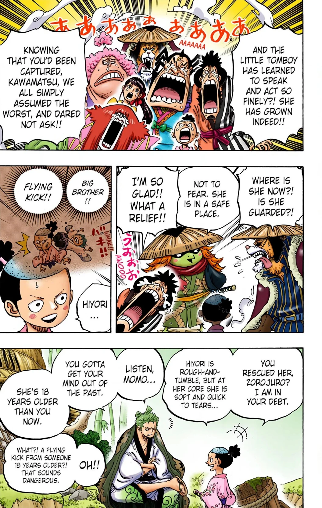 One Piece Volume 95 Page 17