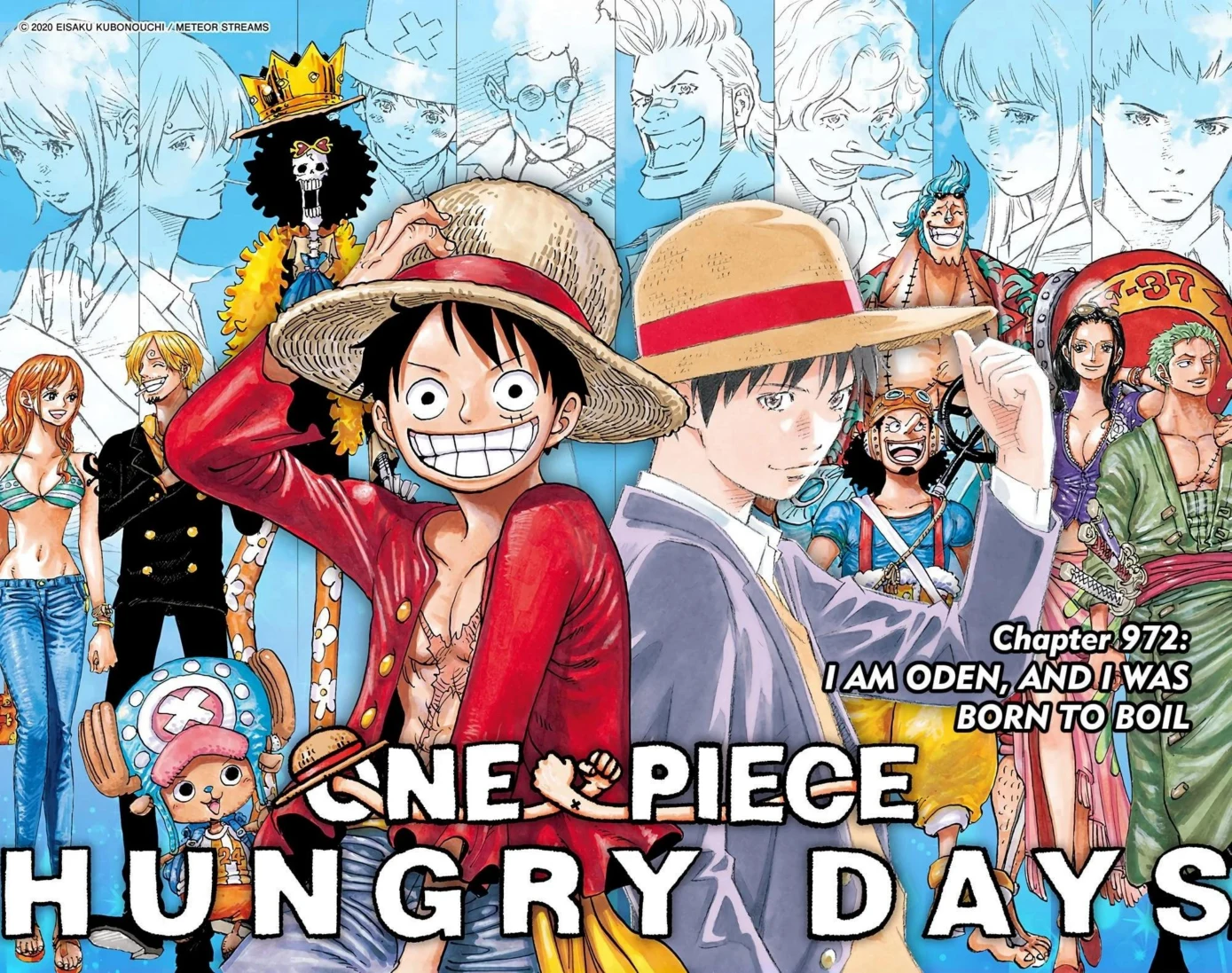 One Piece Volume 96 Page 116
