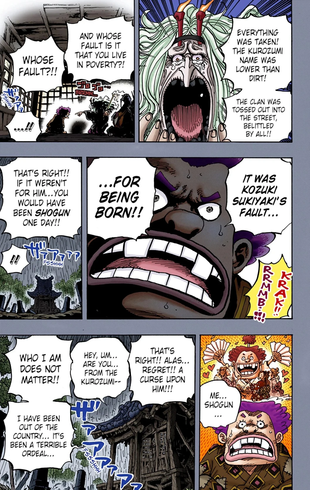 One Piece Volume 96 Page 13