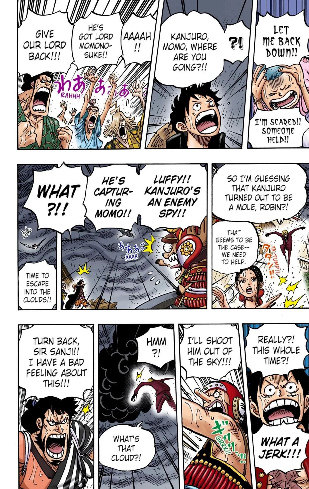 One Piece Volume 97 Page 24