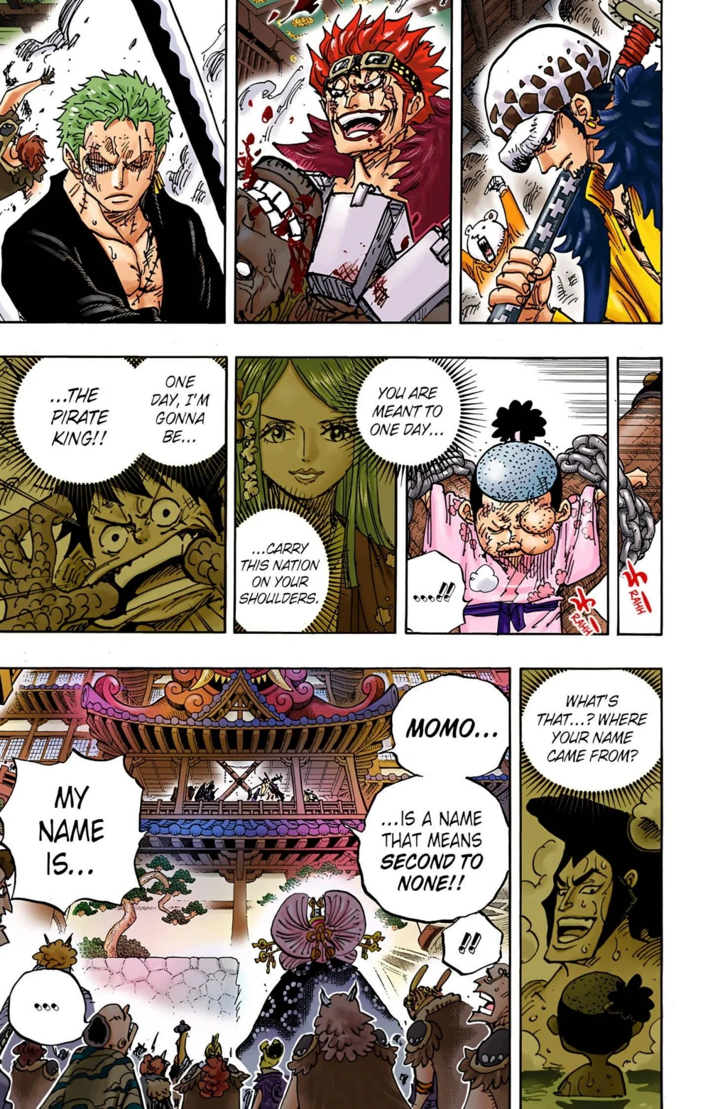 One Piece Volume 98 Page 29