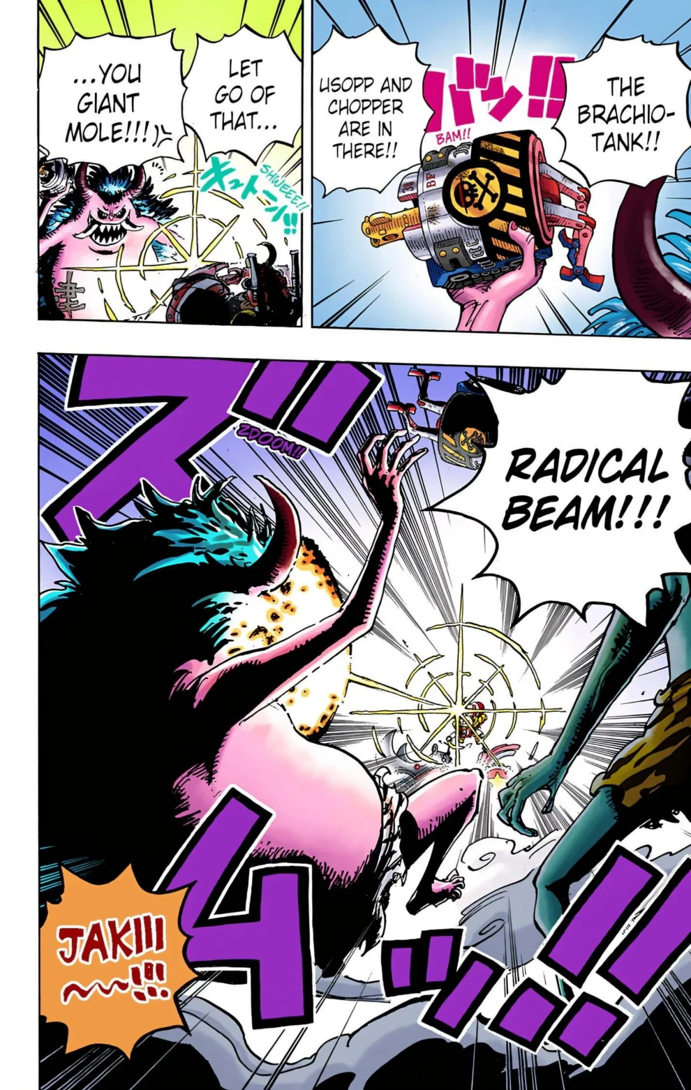 One Piece Volume 98 Page 65